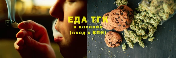 тгк Бородино